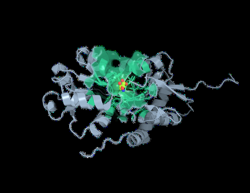 GLR3.4 target protein with AI-identified ligand bound in the binding pocket
